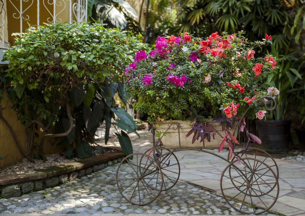 Hotel Quinta Del Gobernador Cuernavaca Exteriér fotografie