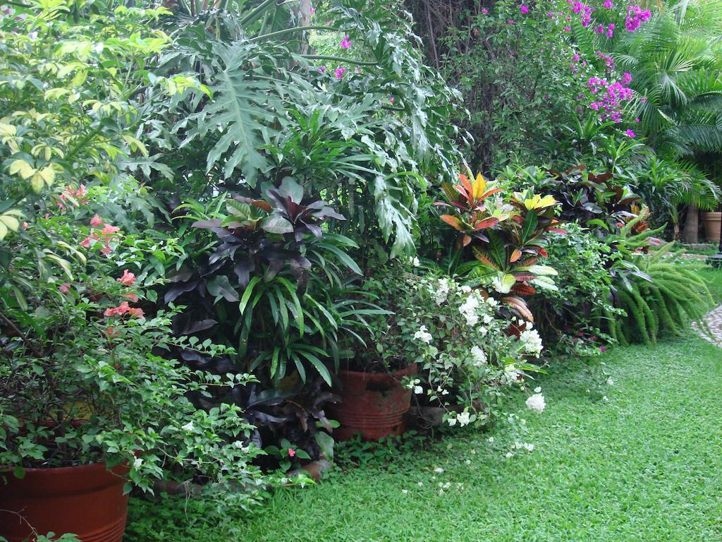 Hotel Quinta Del Gobernador Cuernavaca Exteriér fotografie